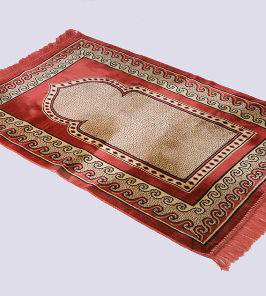velur seccade 1